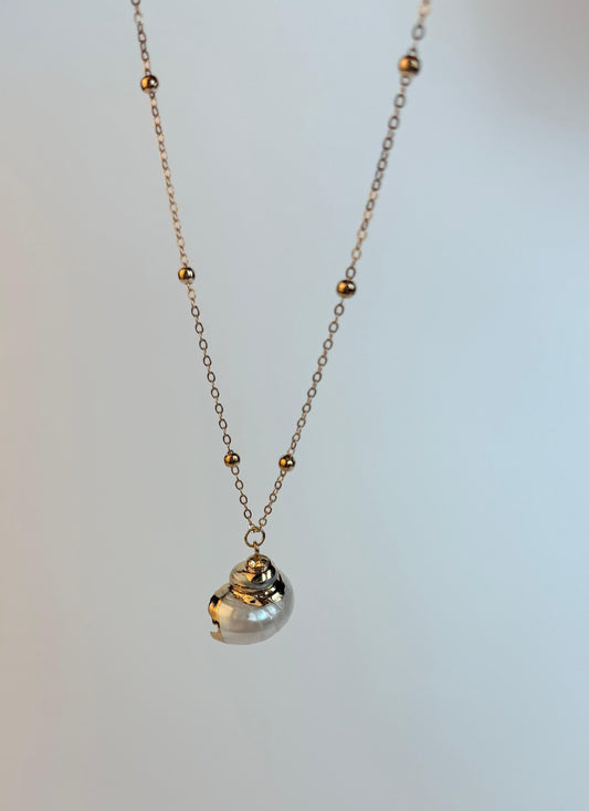 Mittelgroße Halskette aus natürlicher Muschel in Weiß und Gold