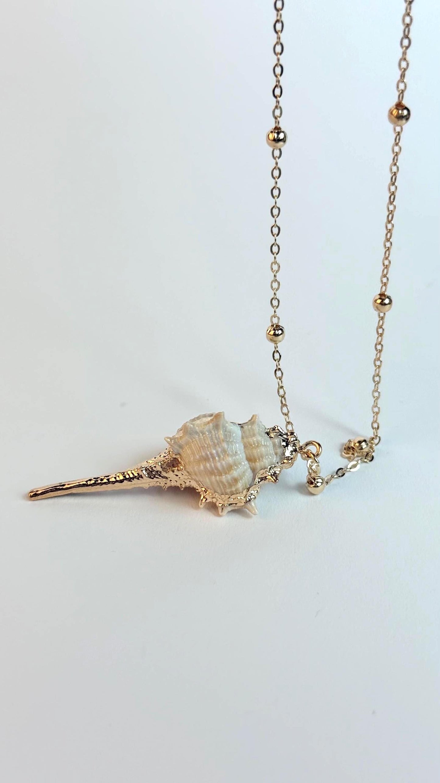 Large Gold Natural Shell necklace