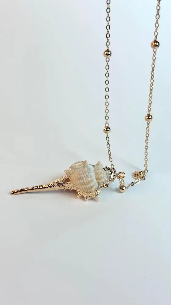 Large Gold Natural Shell necklace