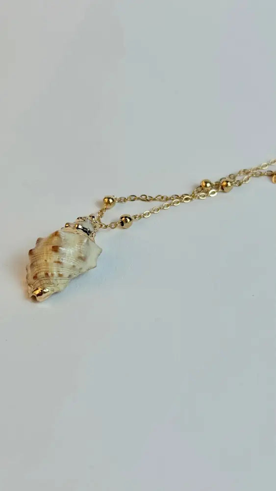 Necklace with a shell pendant on a light gray background